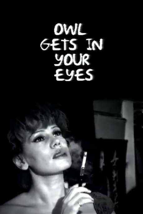 Owl Gets in Your Eyes